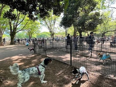 🌳 히가시오기시마 히가시 공원 이미지 5